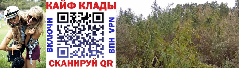 Гашиш Когалым
