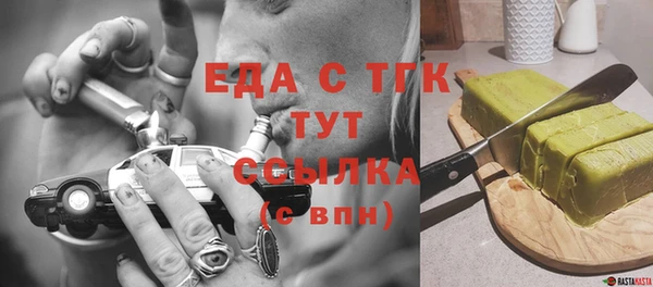 тгк Инсар
