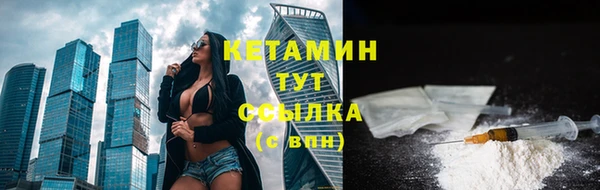 spice Инта