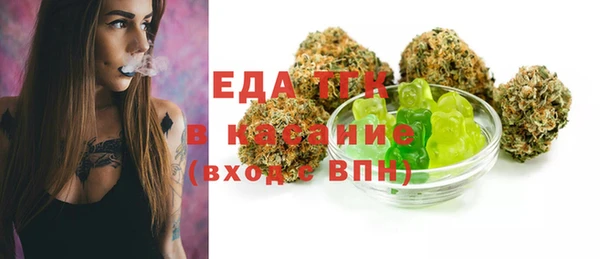тгк Инсар