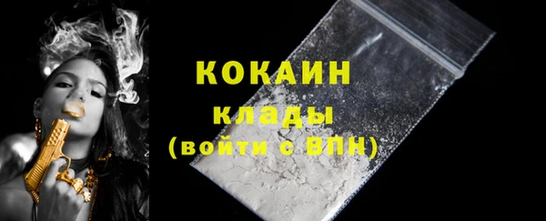 тгк Инсар