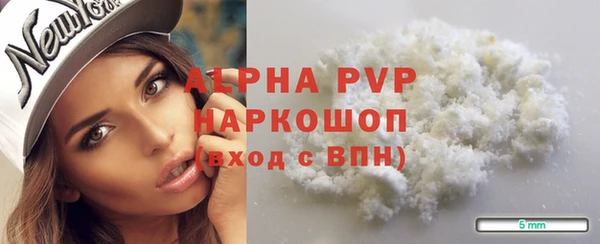 spice Инта