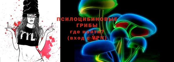 тгк Инсар