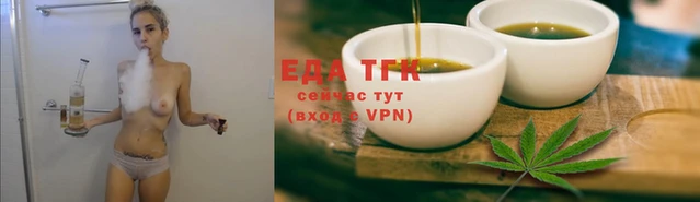 spice Инта