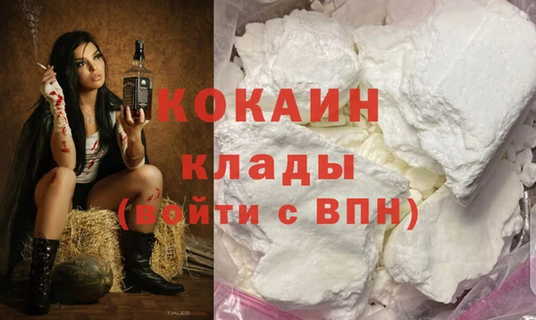 spice Инта
