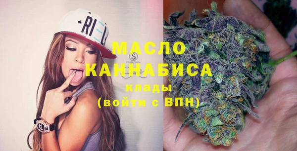 spice Инта