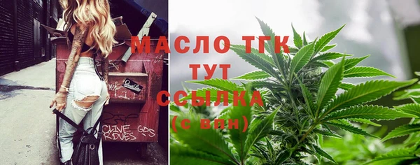 тгк Инсар