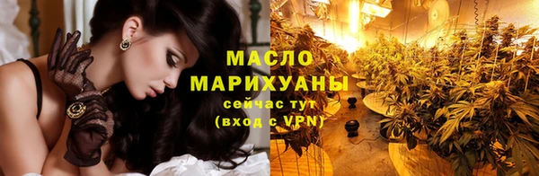 spice Инта