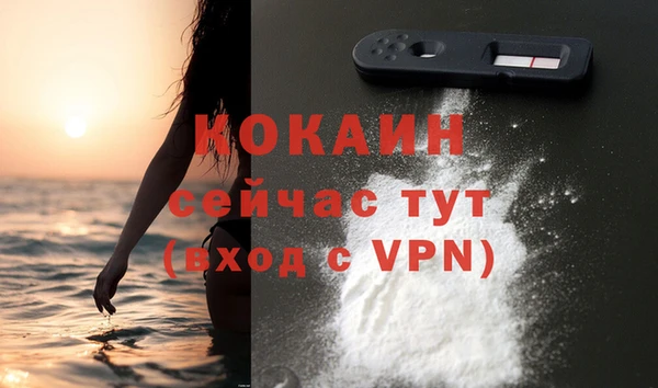тгк Инсар