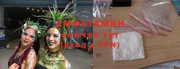spice Инта