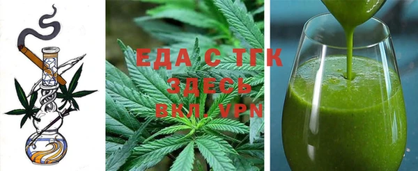 spice Инта
