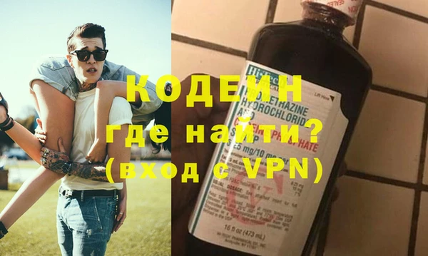 spice Инта