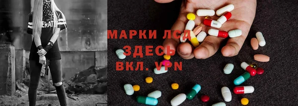 тгк Инсар