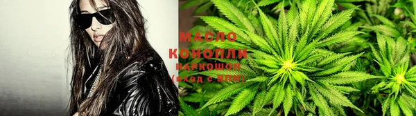spice Инта