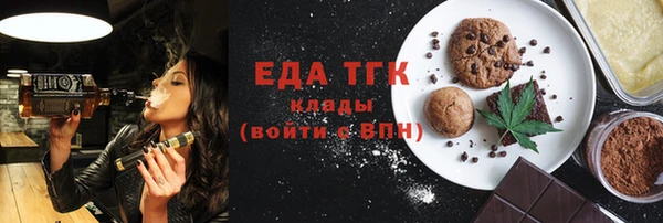 тгк Инсар
