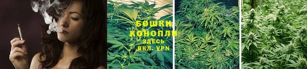 spice Инта